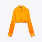 Cropped Shirt (Demo)